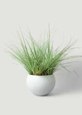 Artificial Potted Grass Plant in Cement Pot - 44" For Indoor/Covered Outdoor Patio