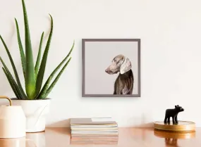 Best Friend - Weimaraner Mini Framed Canvas